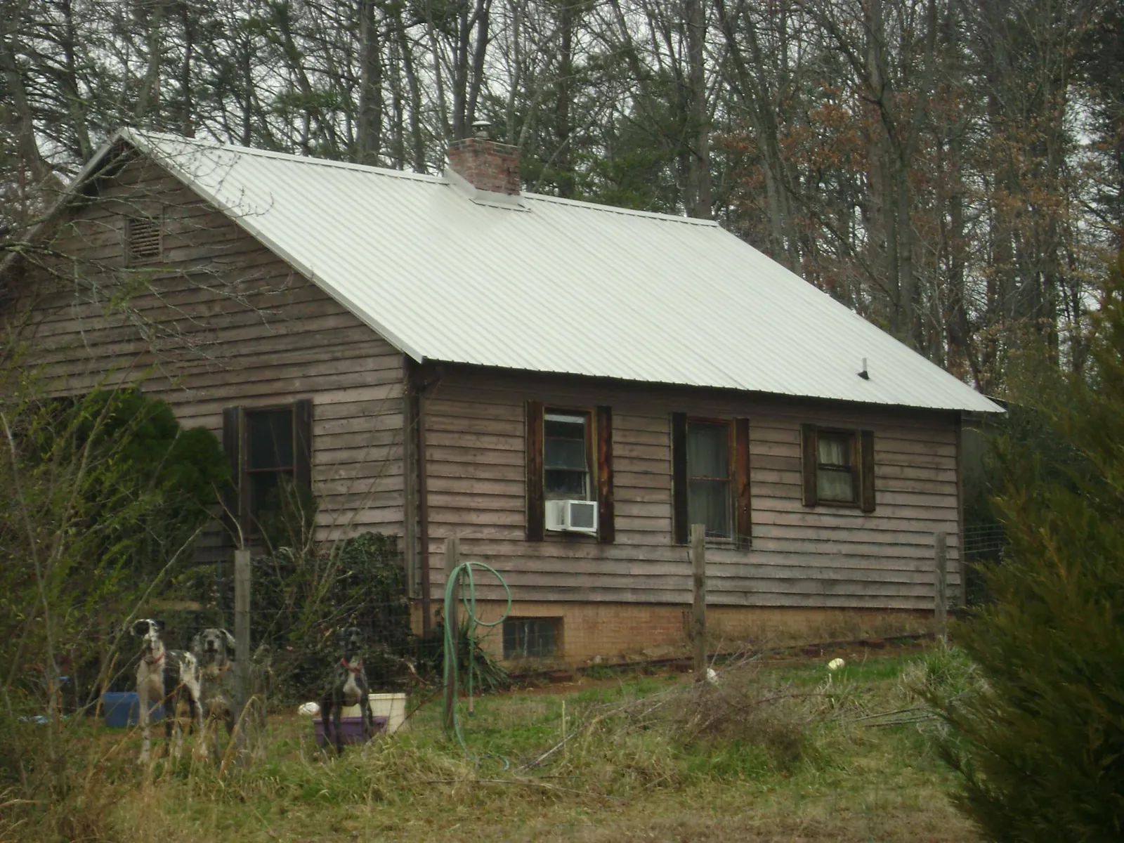 White metal roof on an old wood sided farmhouse, from a Asphalt Shingle Roof Repair job in Chewelah